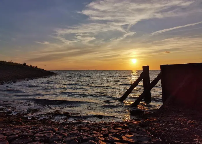 Blank - Arthouse Den Oever