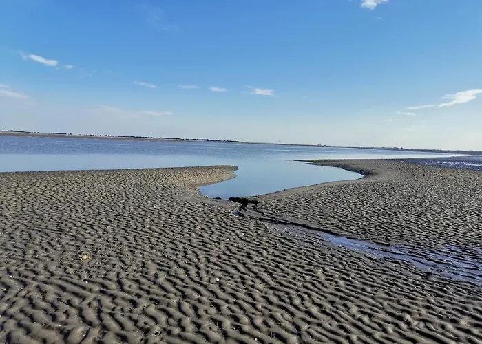 Blank - Arthouse Appartement