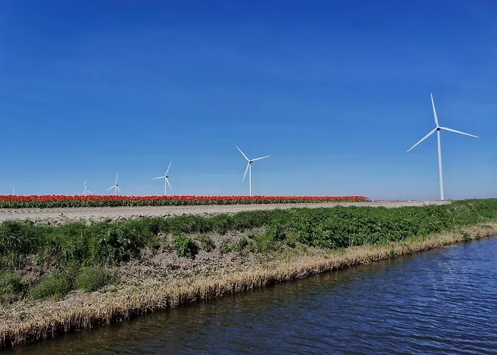 Blank - Arthouse Den Oever