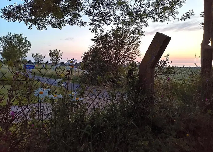 Blank - Arthouse * Den Oever