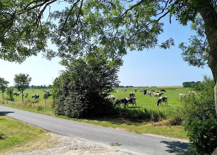 Blank - Arthouse Apartman