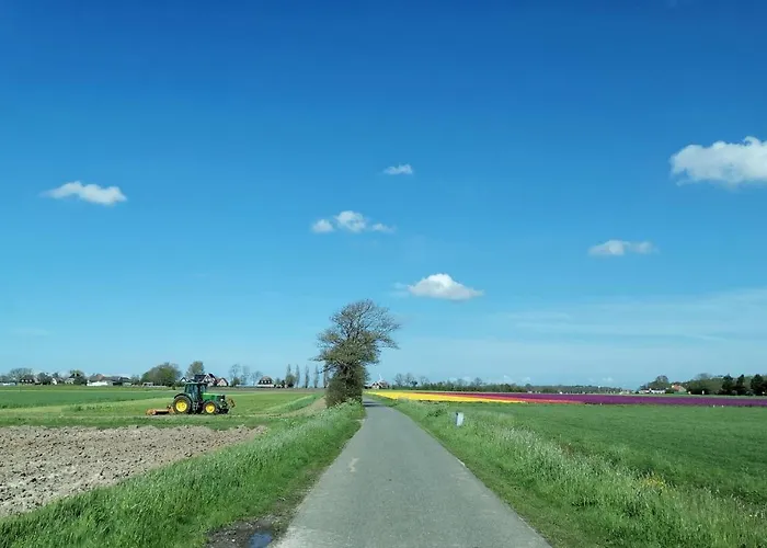 Blank - Arthouse Apartman *