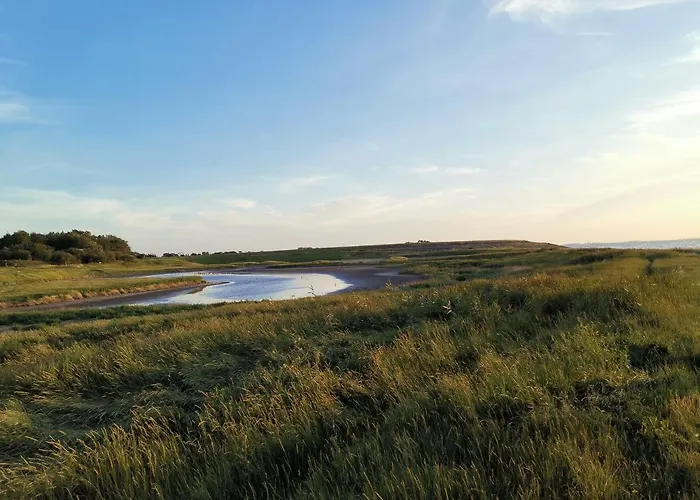 Blank - Arthouse * Den Oever