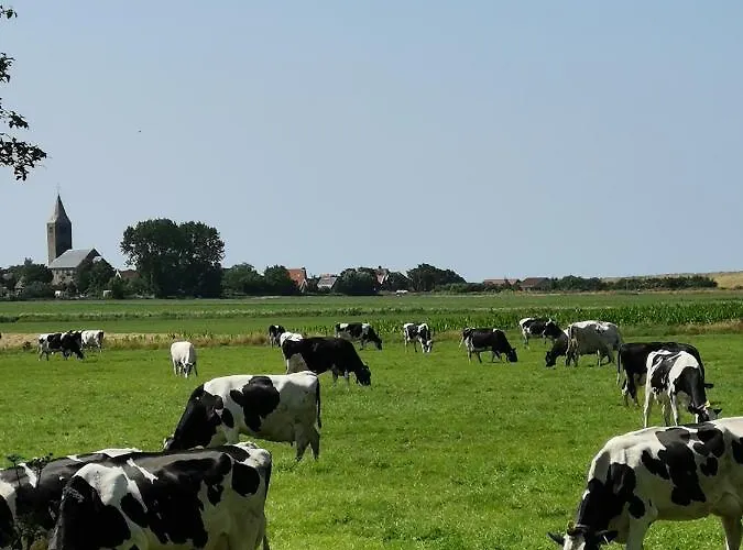 Apartman Blank - Arthouse *