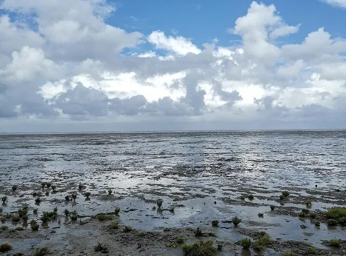 Blank - Arthouse Apartman