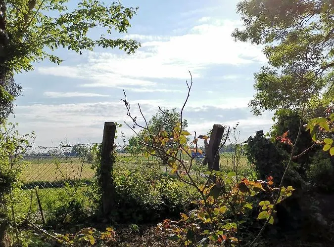 Apartman Blank - Arthouse *