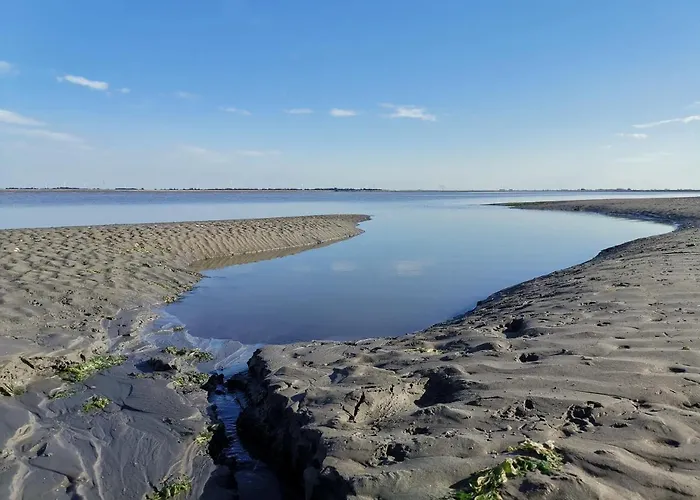 Blank - Arthouse Apartman Den Oever